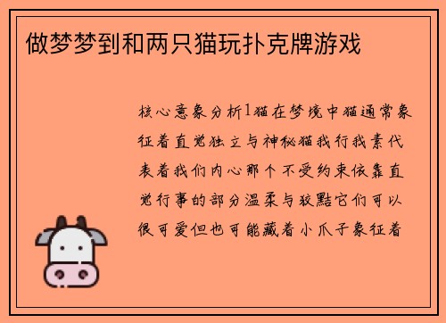做梦梦到和两只猫玩扑克牌游戏